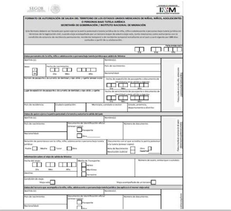 formato sam para llenar pdf.